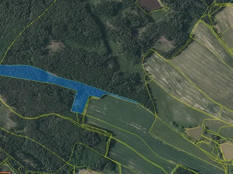 Prodej lesa, Lodhéřov - Studnice, 30002 m2