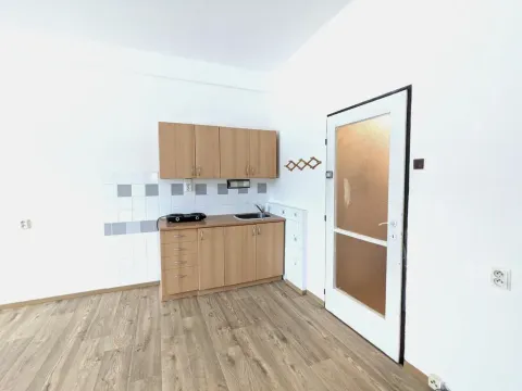 Pronájem bytu 1+kk, Litvínov - Horní Litvínov, Koldům, 32 m2