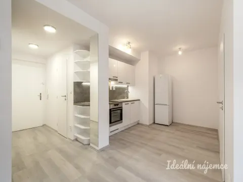 Pronájem bytu 2+kk, Praha - Žižkov, Chelčického, 45 m2
