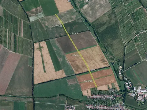 Prodej pole, Prušánky, 11877 m2