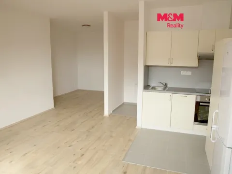 Pronájem bytu 1+kk, Slaný, Wilsonova, 38 m2
