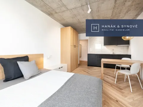 Pronájem bytu 1+kk, Brno, Chaloupkova, 29 m2