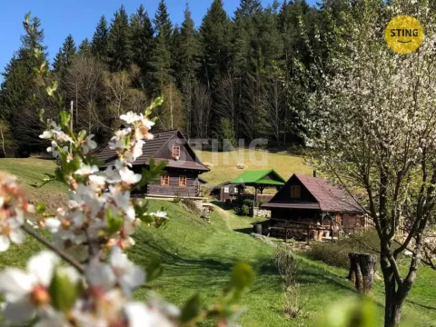 Prodej historického objektu, Hutisko-Solanec - Solanec pod Soláněm, 2989 m2