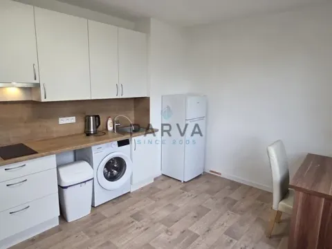 Pronájem bytu 1+kk, Plzeň - Jižní Předměstí, U Borského parku, 20 m2
