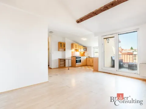 Prodej bytu 2+kk, Brno - Černá Pole, Provazníkova, 56 m2