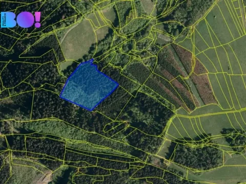 Prodej lesa, Valašská Polanka, 14596 m2