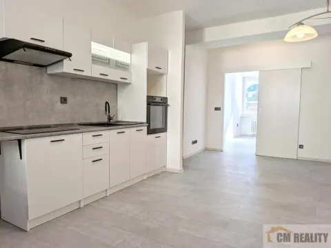 Pronájem bytu 3+kk, Prostějov, Palackého, 53 m2