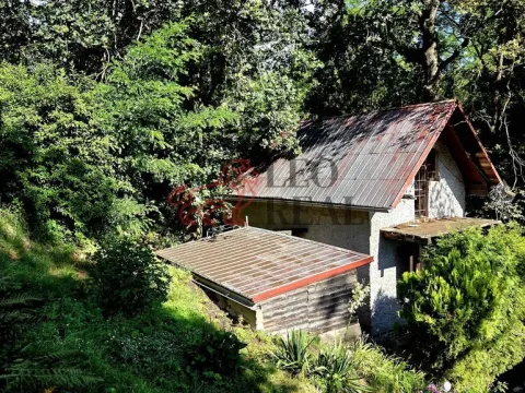 Prodej chaty, Tuřice - Sobětuchy, 66 m2