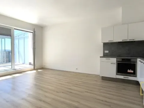 Pronájem bytu 3+kk, Brno - Židenice, Gajdošova, 57 m2