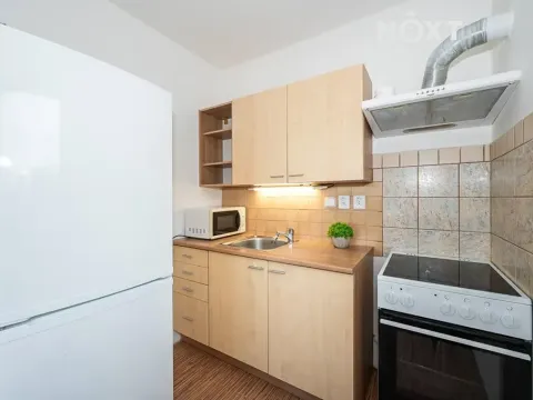 Pronájem bytu 1+kk, Syrovice, 33 m2