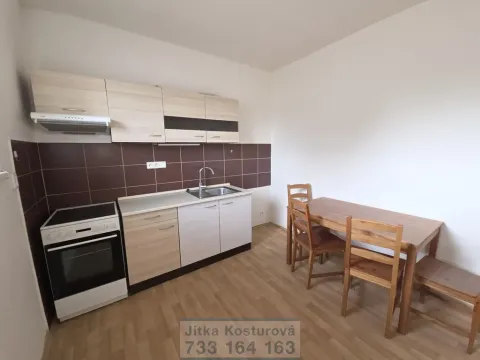 Pronájem bytu 1+kk, Krnov - Pod Cvilínem, Čsl. armády, 26 m2