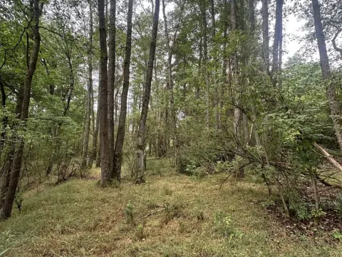 Prodej pozemku, Kaplice - Blansko, 3546 m2
