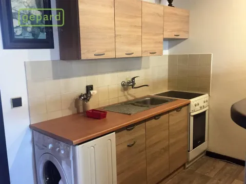 Pronájem bytu 2+kk, České Budějovice, Jasanová, 65 m2