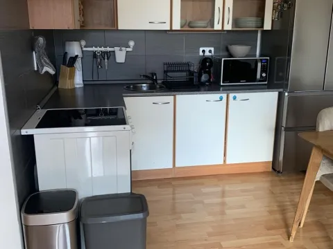 Pronájem bytu 2+kk, Opava, Krnovská, 57 m2