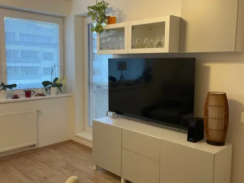 Pronájem bytu 1+kk, Přezletice, 35 m2