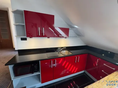 Pronájem bytu 1+kk, Chomutov, Kukaňova, 55 m2