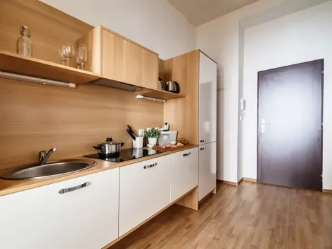 Pronájem bytu 1+1, Praha - Dejvice, Pod kaštany, 37 m2