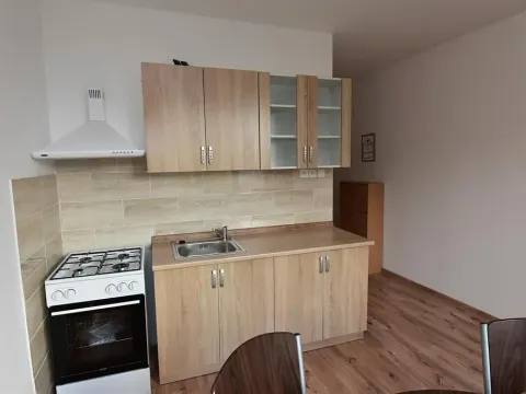 Pronájem bytu 1+1, Jirkov, Hornická, 35 m2