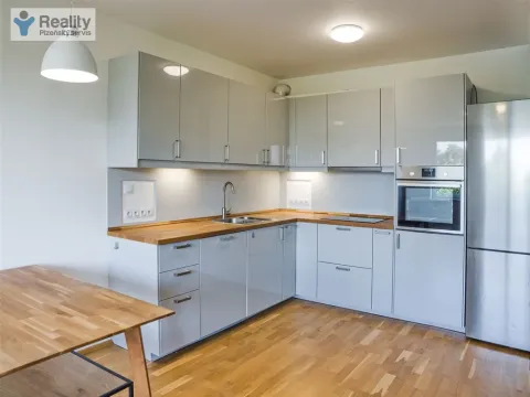 Pronájem bytu 2+kk, Plzeň - Severní Předměstí, Lidická, 66 m2