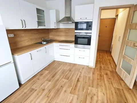 Pronájem bytu 1+1, Děčín - Děčín IX-Bynov, Na Pěšině, 35 m2