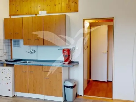 Pronájem bytu 1+kk, Plzeň, Polední, 21 m2