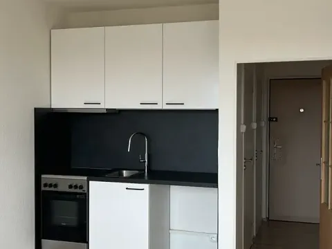 Pronájem bytu 1+kk, Praha - Záběhlice, Jabloňová, 25 m2