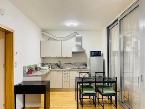 Pronájem bytu 2+kk, Praha - Žižkov, Olšanská, 50 m2