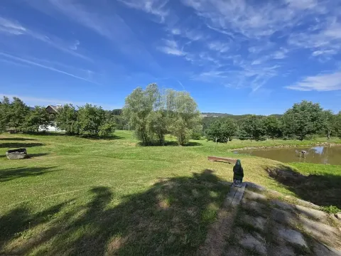 Prodej louky, Dolní Dvořiště, 562199 m2