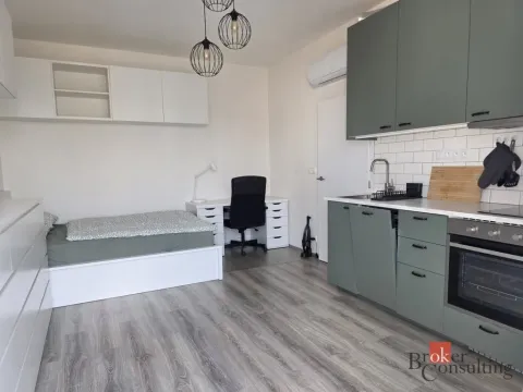 Pronájem bytu 1+kk, Brno - Trnitá, Křenová, 28 m2