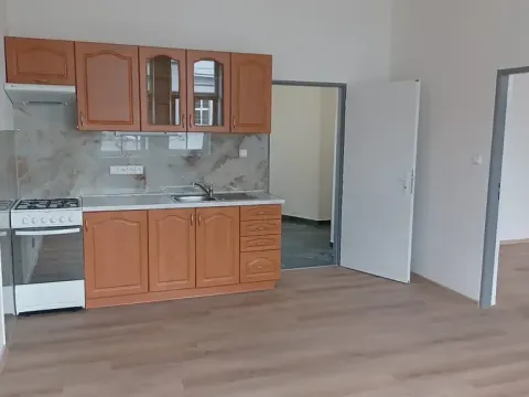 Pronájem bytu 1+1, Plzeň, Stehlíkova, 57 m2