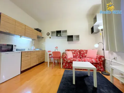 Pronájem bytu 1+kk, Praha - Michle, Na úlehli, 25 m2
