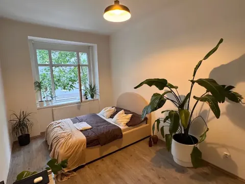 Pronájem bytu 2+kk, Praha - Žižkov, Hartigova, 50 m2