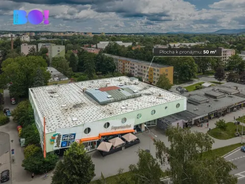 Pronájem obchodního prostoru, Frýdek-Místek, Frýdlantská, 50 m2