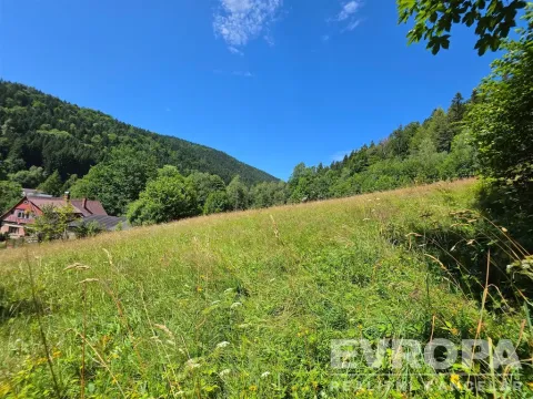 Prodej pozemku pro bydlení, Desná, okres jablonec nad nisou, Výletní, 6703 m2