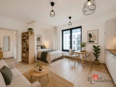 Pronájem bytu 1+kk, Plzeň - Jižní Předměstí, Železná, 28 m2