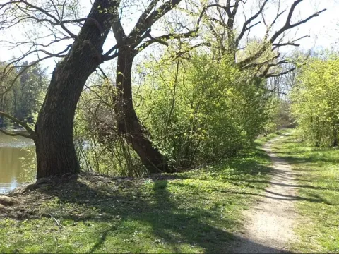 Dražba pozemku, Dačice, 326 m2