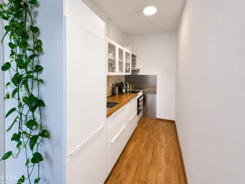 Pronájem bytu 2+kk, Brno - Starý Lískovec, Dunajská, 54 m2