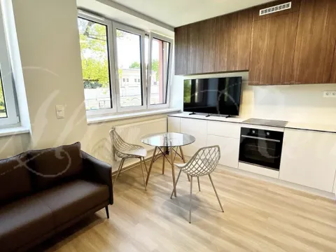 Pronájem bytu 1+kk, Brno - Štýřice, Sovinec, 30 m2