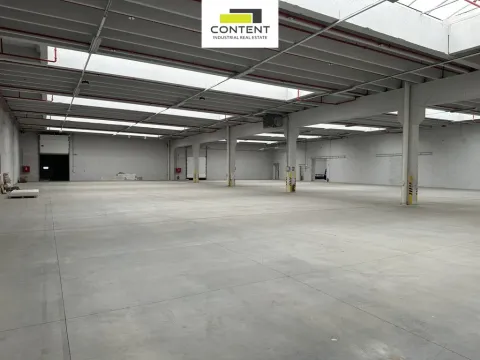 Pronájem skladu, Říčany, U Sanitasu, 11000 m2