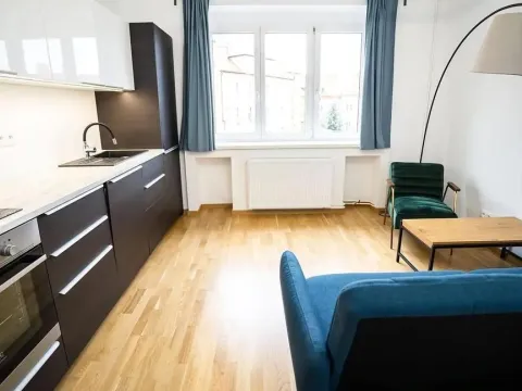 Pronájem bytu 1+kk, Praha - Nusle, U Pernštejnských, 33 m2