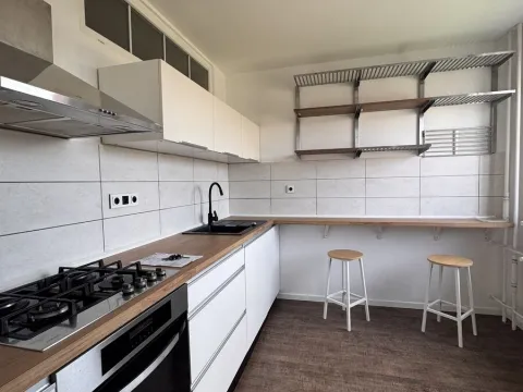 Pronájem bytu 3+1, Opava, Ratibořská, 67 m2