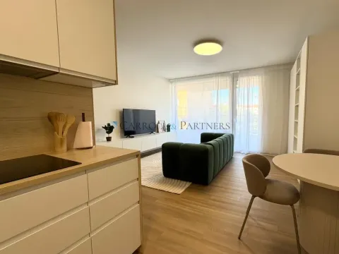 Pronájem bytu 1+kk, Ostrava - Slezská Ostrava, U Hájenky, 40 m2