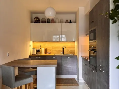 Pronájem bytu 2+kk, Praha - Žižkov, Olšanská, 50 m2