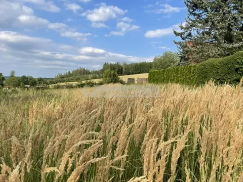 Prodej pozemku pro bydlení, Blovice, 1185 m2