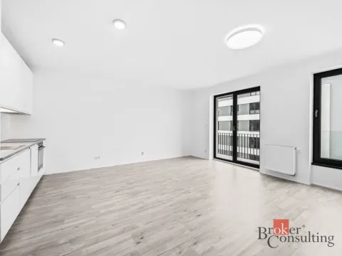 Pronájem bytu 1+kk, Plzeň - Jižní Předměstí, Železná, 37 m2