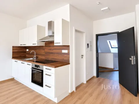 Pronájem bytu 1+kk, Písek, Žižkova třída, 30 m2