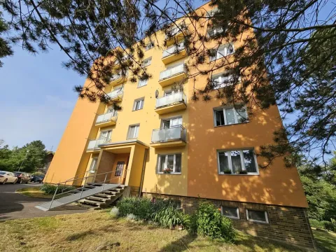 Pronájem bytu 1+1, Plzeň, Lazaretní, 45 m2