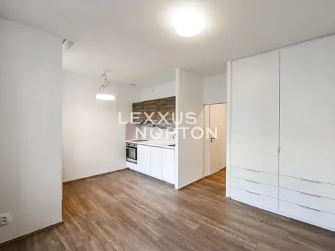 Pronájem bytu 1+kk, Praha - Vinohrady, Lucemburská, 30 m2