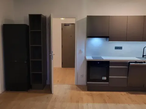 Pronájem bytu 1+kk, Brno, Bratislavská, 32 m2