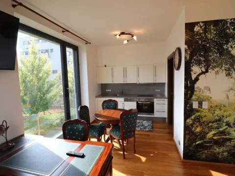 Pronájem bytu 1+kk, Praha - Nusle, K sídlišti, 36 m2